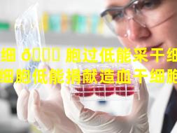 白细 🕊 胞过低能采干细胞吗（白细胞低能捐献造血干细胞吗）